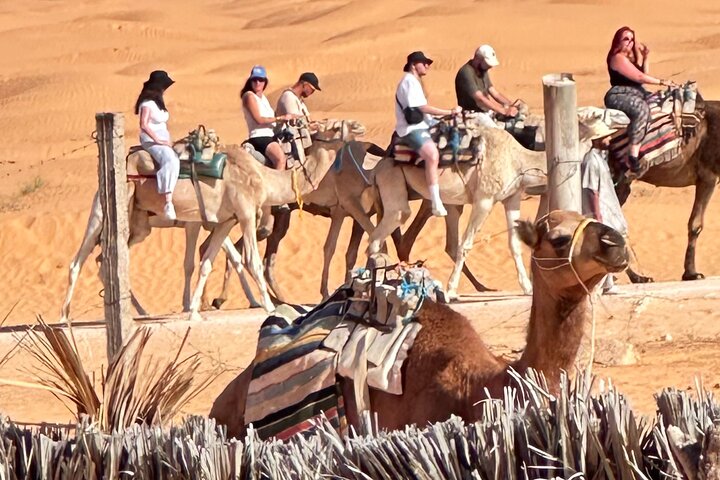 Ksar Ghilane Oasis Desert Escape and Star Wars Day Tour