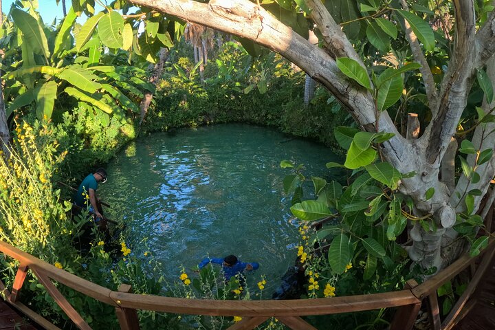 6 Day Tour to the Natural Paradise of Jalapão