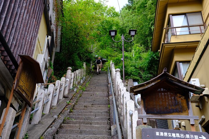 Nagano Snow Monkeys -Half day Private Tour