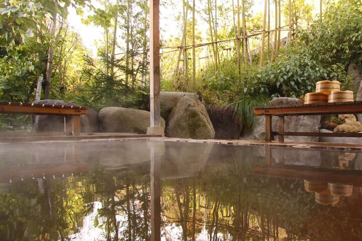 Nagano Snow Monkeys -Half day Private Tour