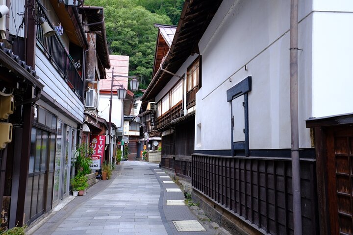 Nagano Snow Monkeys -Half day Private Tour