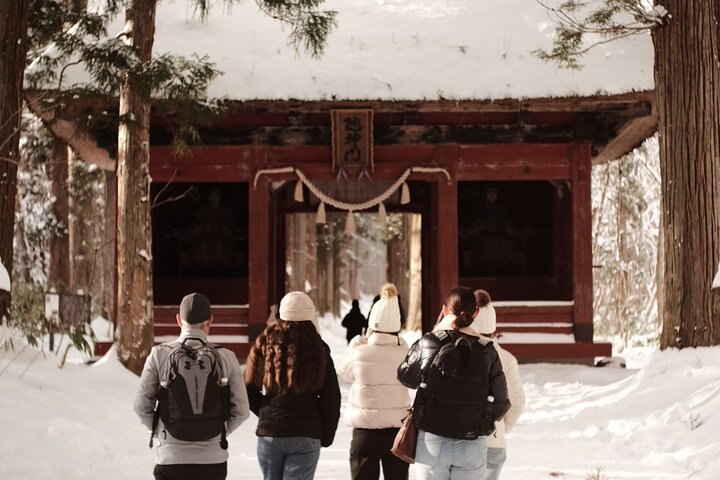 Nagano Snow Monkeys -Half day Private Tour