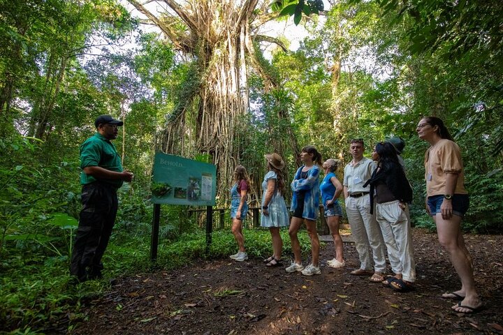 Cairns: All Inclusive Waterfalls and Rainforest Tour