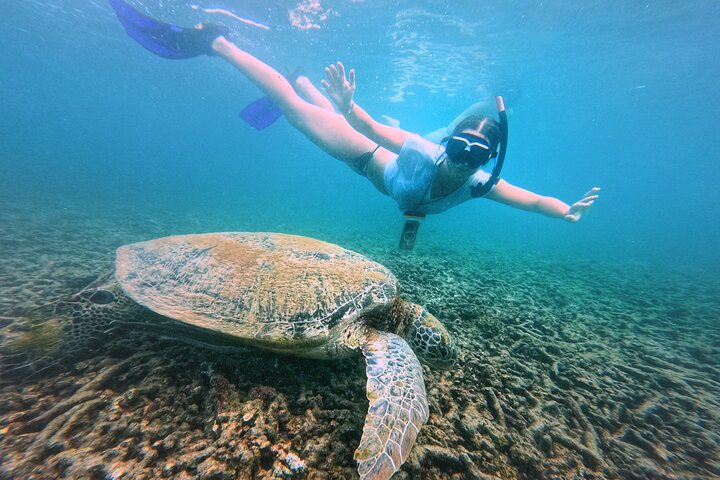 Ko Tao: Vintage Boat - Small Group Snorkeling Day Trip with Meals