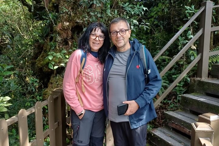 Cameron Highlands Day Trip from Ipoh with Lunch & Mossy Forest