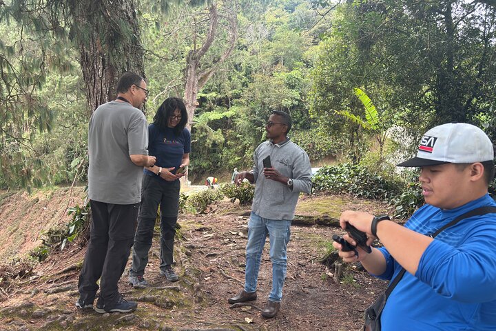 Cameron Highlands Day Trip from Ipoh with Lunch & Mossy Forest
