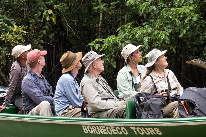 Sandakan 3 Day Sukau Rainforest Wildlife Journey and Cruises