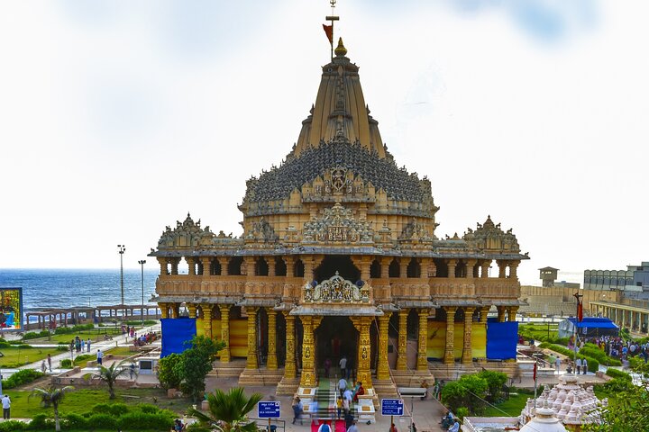 Temple & Lion Safari Tour from Rajkot in Gujarat