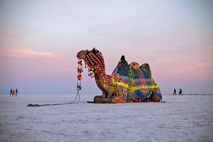 Bhuj, Narayan Sarovar Sanctuary & White Rann of Kutch Tour
