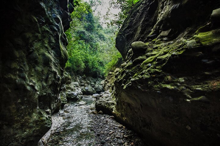 Discovering Dehradun: A Full Day Guided Tour