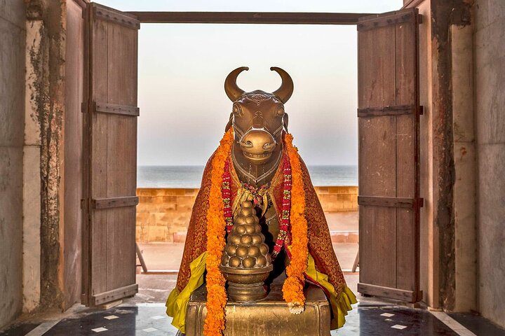 Bhuj to Narayan Sarovar Sanctuary Private Day Tour