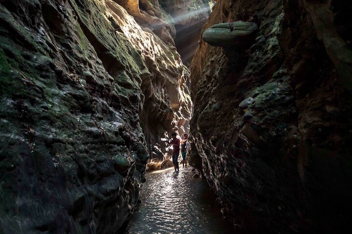 Discovering Dehradun: A Full Day Guided Tour