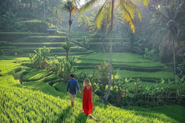 Ubud Private Tour - Waterfalls, Water Temple & Rice Terraces