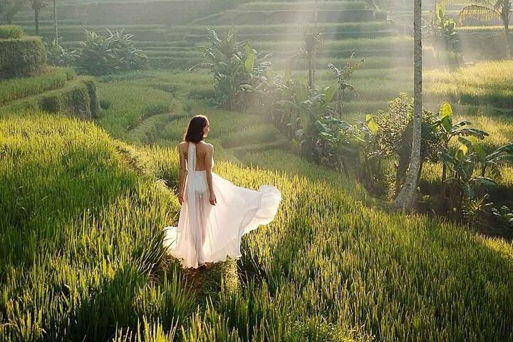 Ubud Private Tour - Waterfalls, Water Temple & Rice Terraces