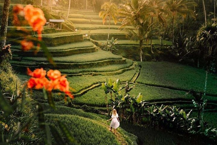 Ubud Private Tour - Waterfalls, Water Temple & Rice Terraces