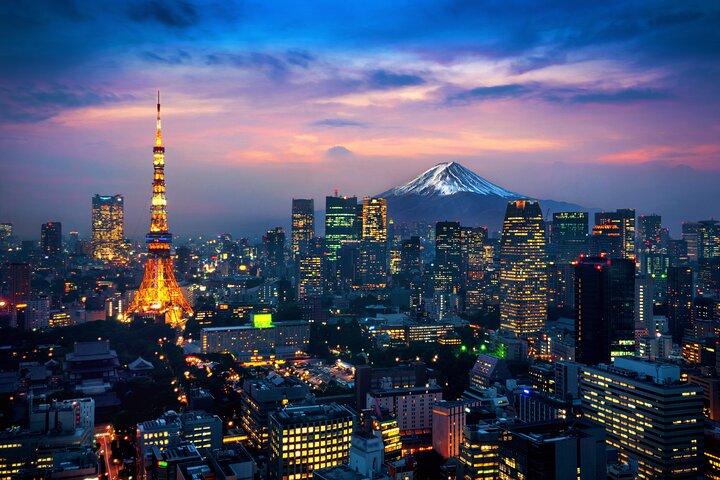 Tokyo Private Tour by Car with English-Speaking Driver (Premium)