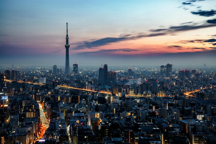 Tokyo Private Tour by Car with English-Speaking Driver (Premium)