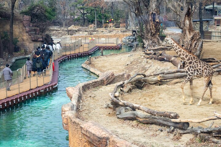Everland Theme Park Ticket | South Korea
