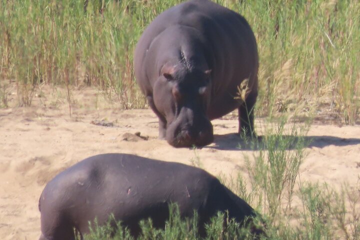 3 Day Kruger National Park Safari & Panorama Route