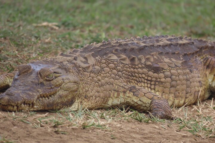 3 Day Kruger National Park Safari & Panorama Route