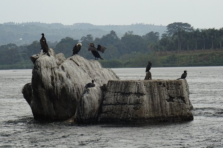 Source of Nile Jinja and Kampala City Tour with Gaddafi Mosque