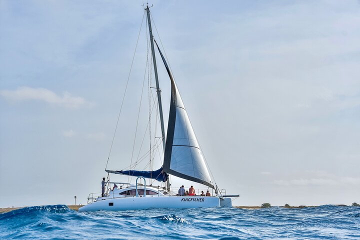 Catamaran Half Day - Beautiful day on the Atlantic Ocean