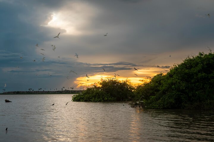 Amazon Extension after Uyuni – Bolivia (3–4 Days)