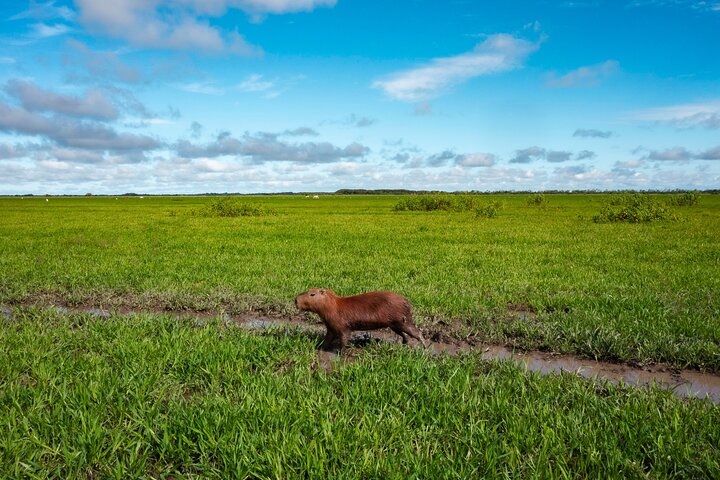 Amazon Extension after Uyuni – Bolivia (3–4 Days)