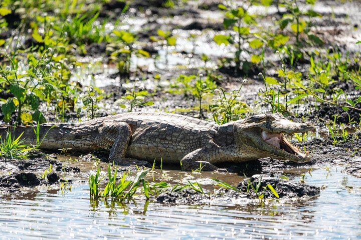 Amazon Extension after Uyuni – Bolivia (3–4 Days)