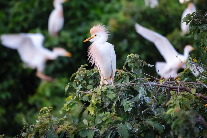 Amazon Extension after Uyuni – Bolivia (3–4 Days)