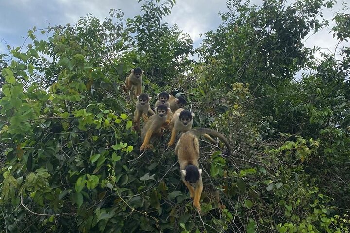 Amazon Extension after Uyuni – Bolivia (3–4 Days)
