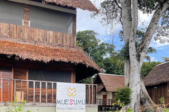 Amazon Extension after Uyuni – Bolivia (3–4 Days)