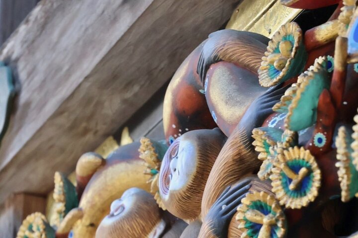 Nikko Early Morning Tour Tokyo Departure Option Available