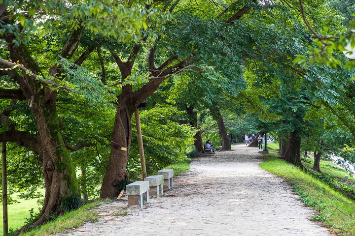 Genuine Korea Experience-Jeonju, Maisan, Damyang, Seonamsa Temple