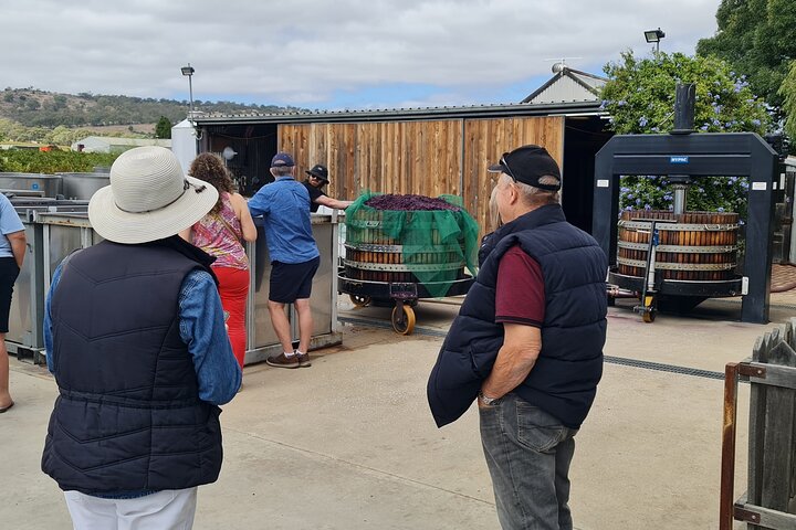 Group of Four Private Barossa Wine Tour with Lunch