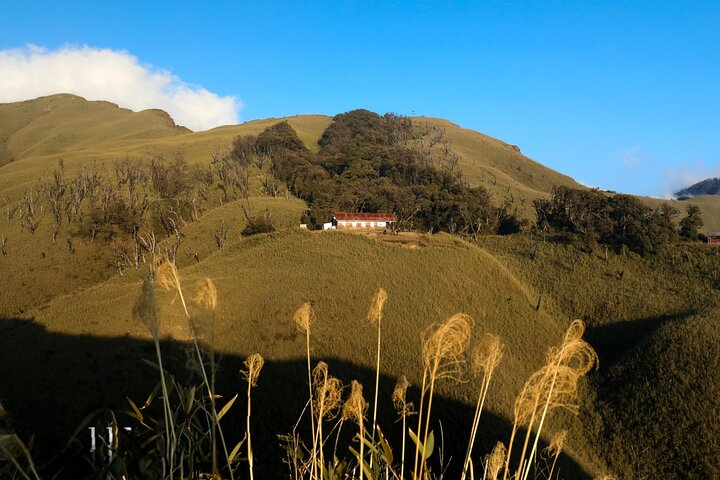 Nagaland & Assam Soft Trekking Tour in Tribal Village