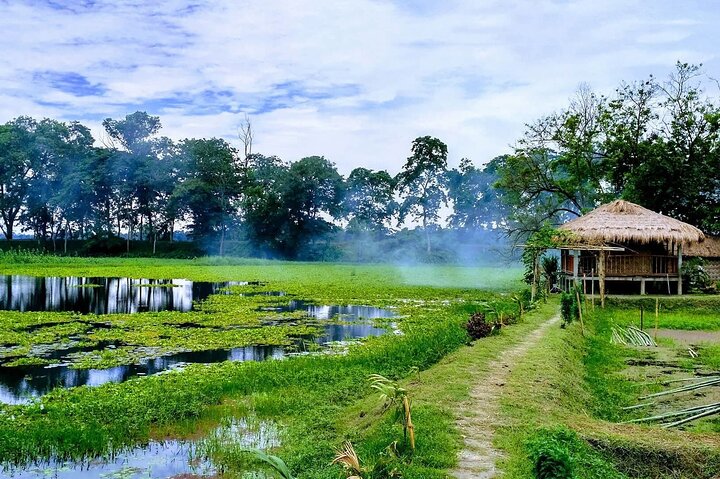 Nagaland & Assam Soft Trekking Tour in Tribal Village
