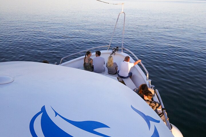 Dolphin Watching & Sunset Boat Tour With Drinks & optional Dinner