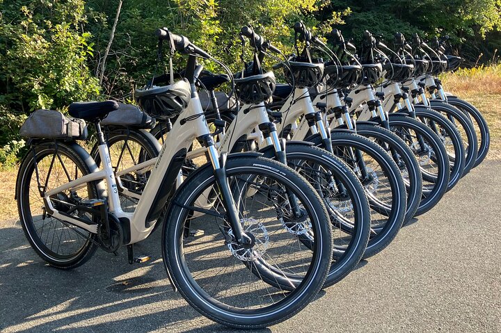 Acadia National Park Premium Specialized E-Bike Rental