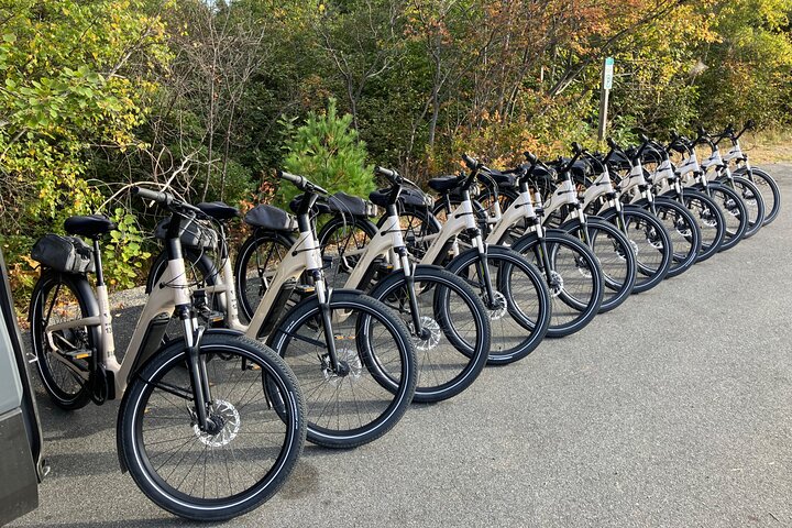 Acadia National Park Premium Specialized E-Bike Rental