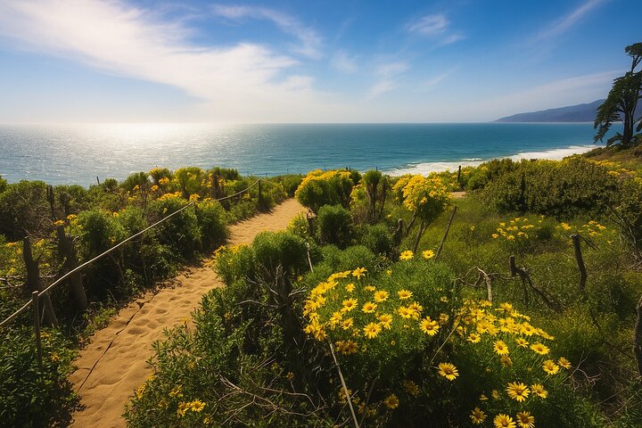 Private Malibu Waterfall Hike & Pacific Coast Drive