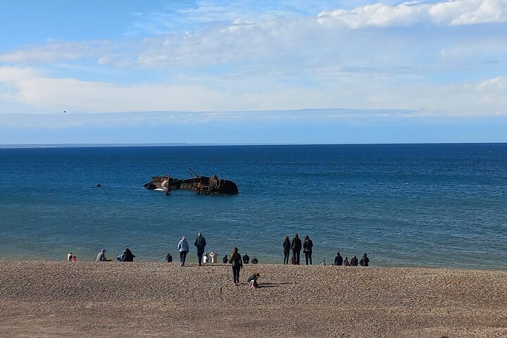 Tour South Circuit - Best of Puerto Madryn for CRUISES