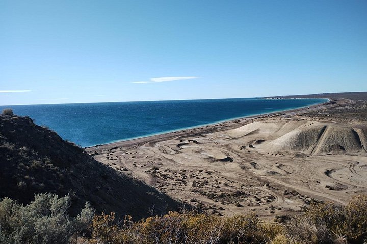 Tour South Circuit - Best of Puerto Madryn for CRUISES