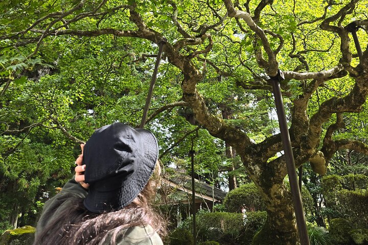 Locally Owned: Private Mt. Fuji Icons & Hidden Gems (Kawaguchiko)
