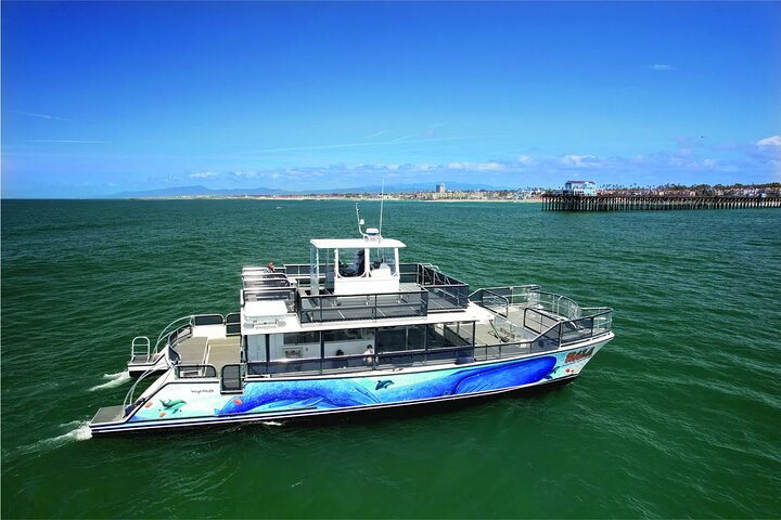 Two-Hour Luxury Whale Watching Tour from Oceanside