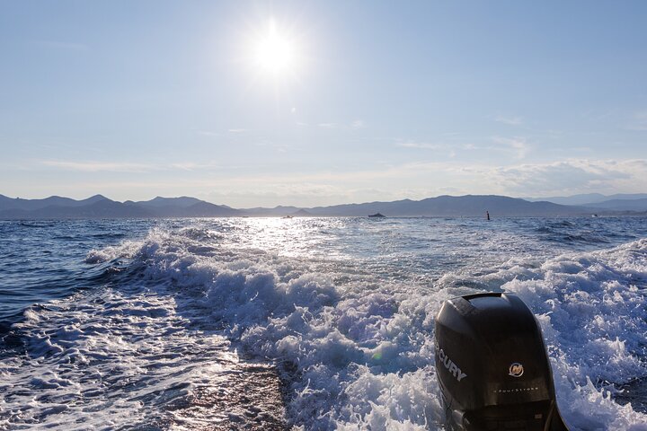 Private escape to discover Cannes & Lerins islands from the sea