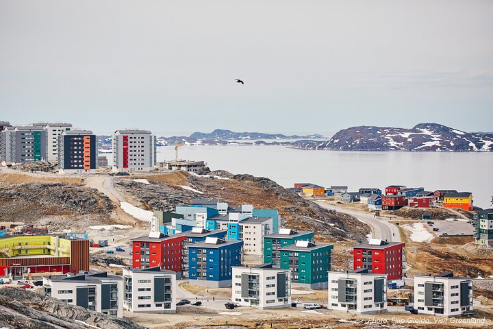 Nuuk City Highlights by Car with Greenlandic Tasting