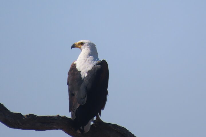 3 Day Kruger National Park Safari & Panorama Route