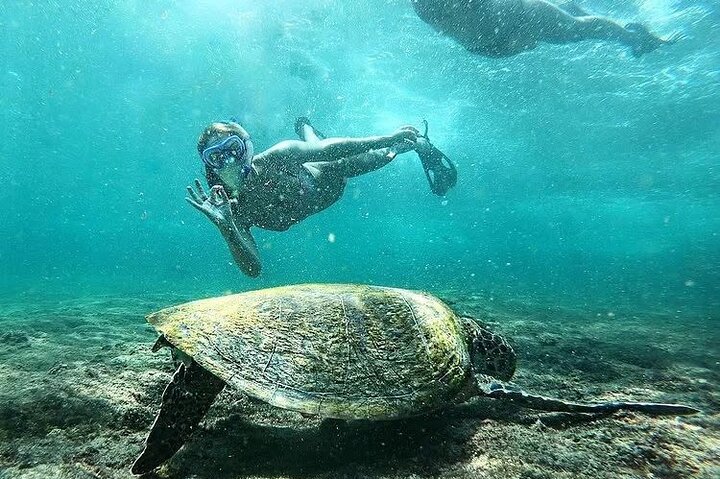 Daymaniyat Islands Snorkeling Tour – Swim with Turtles & Kayaking