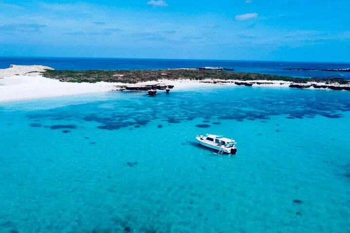 Daymaniyat Islands Snorkeling Tour – Swim with Turtles & Kayaking